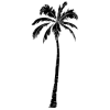 palmtree palmtree
